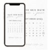 Calendar Style Digital Save The Date